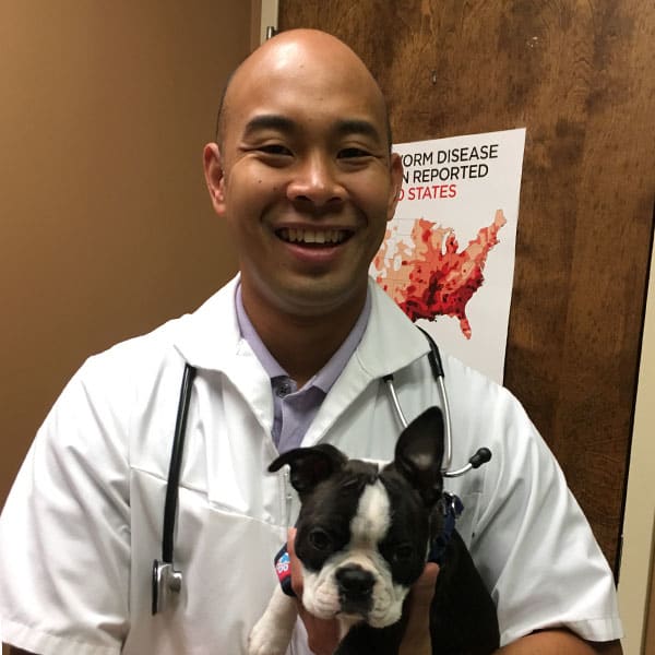 Dr. Robert Racelis, Madison Veterinarian